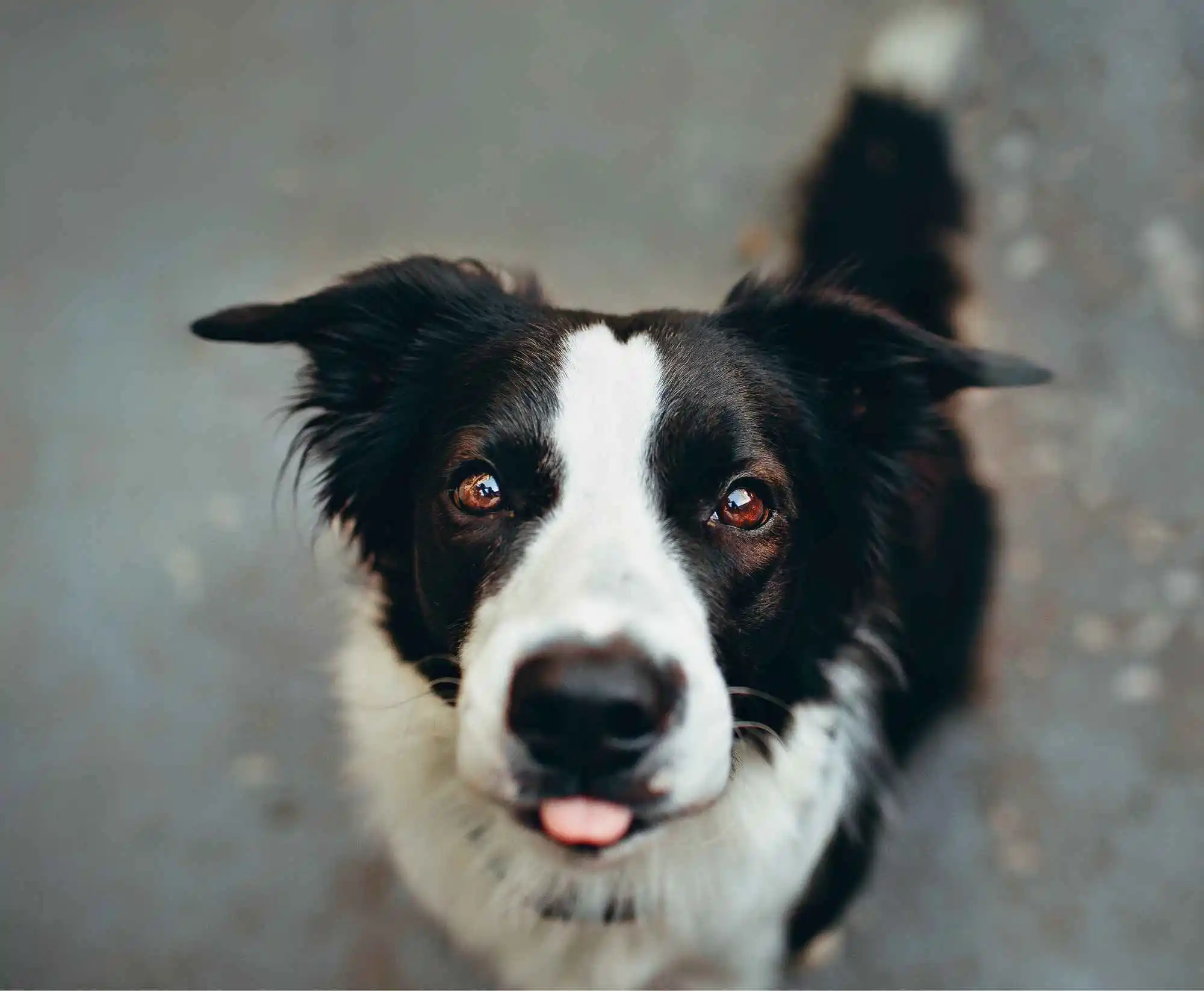 Customer support contact illustration