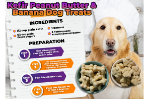Get Your Puppy's Digestion on Track with These Probiotic Biscuits!