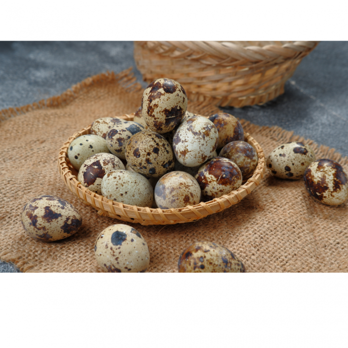 RawChoice Quail Eggs (Frozen, 18 pack)
