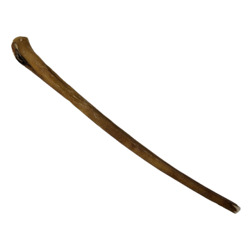 RawChoice 12" standard bully sticks