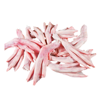 RawChoice Raw Duck Feet 1lb