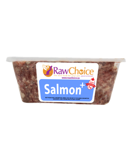 RawChoice Salmon+
