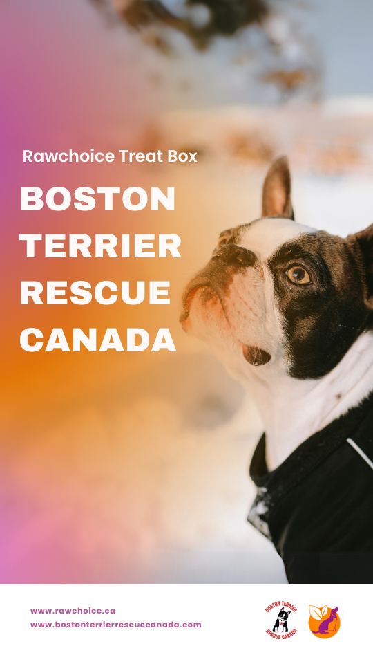 BTRC Treat Box