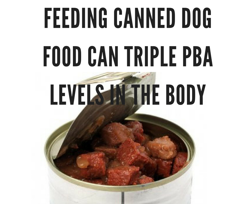 FEEDING CANNED DOG FOOD CAN TRIPLE PBA LEVELS IN THE BODY